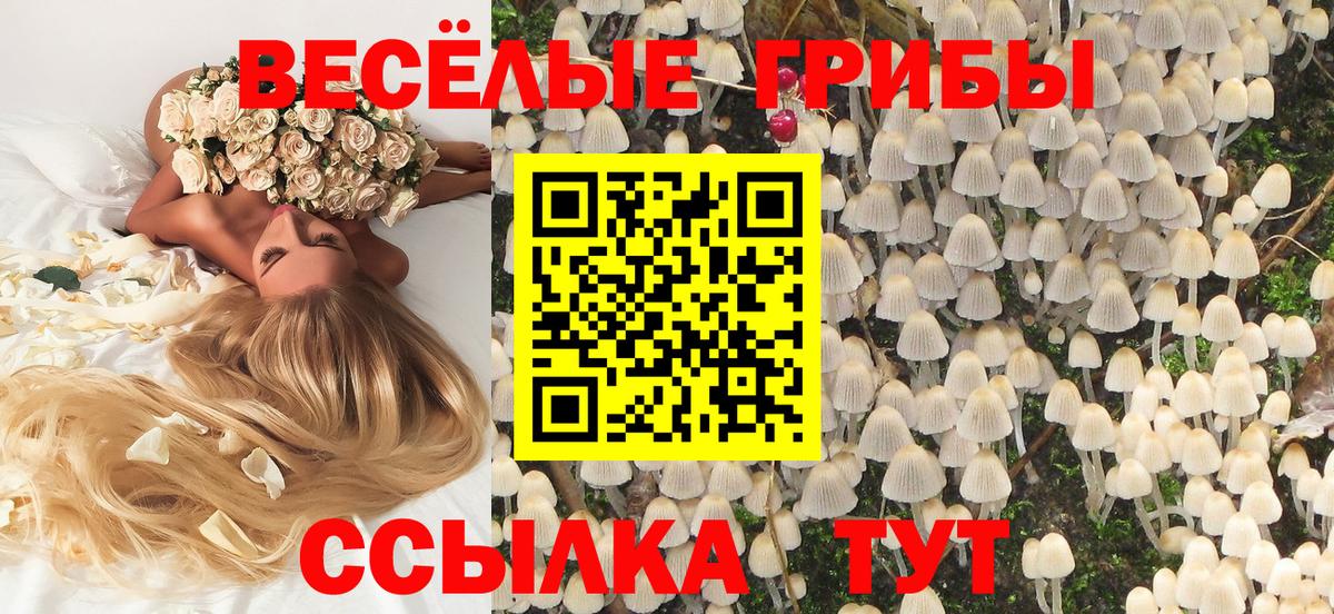 Галлюциногенные грибы мицелий  купить наркотики сайты  Павлово  Галлюциногенные грибы MAGIC MUSHROOMS  Вход с VPN 