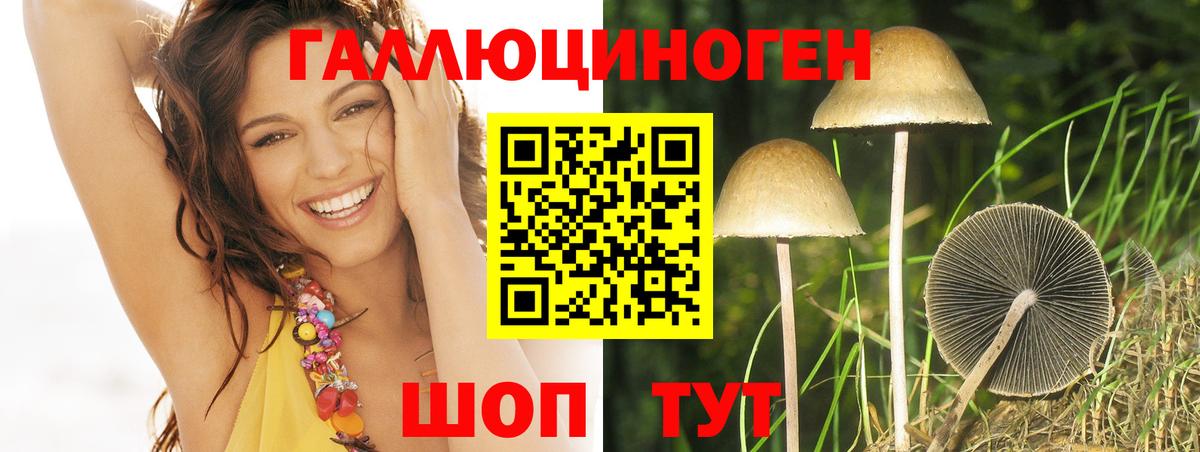 Псилоцибиновые грибы GOLDEN TEACHER Павлово